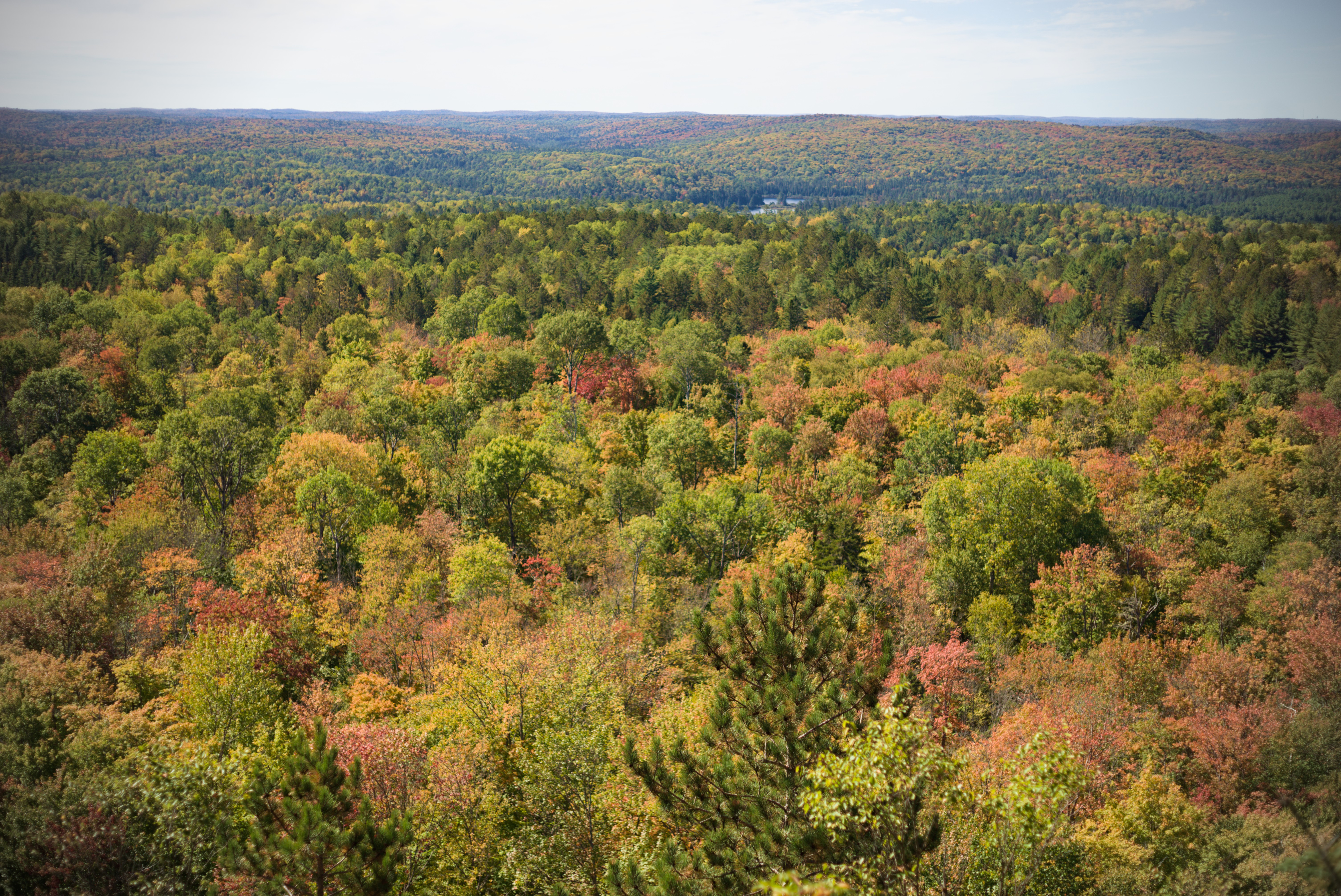 2024-hike-0006.jpg