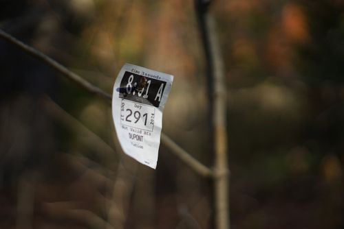 2024-hike-0025.jpg