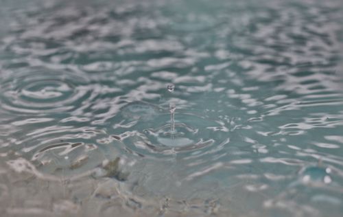 2024-pool-0001.jpg