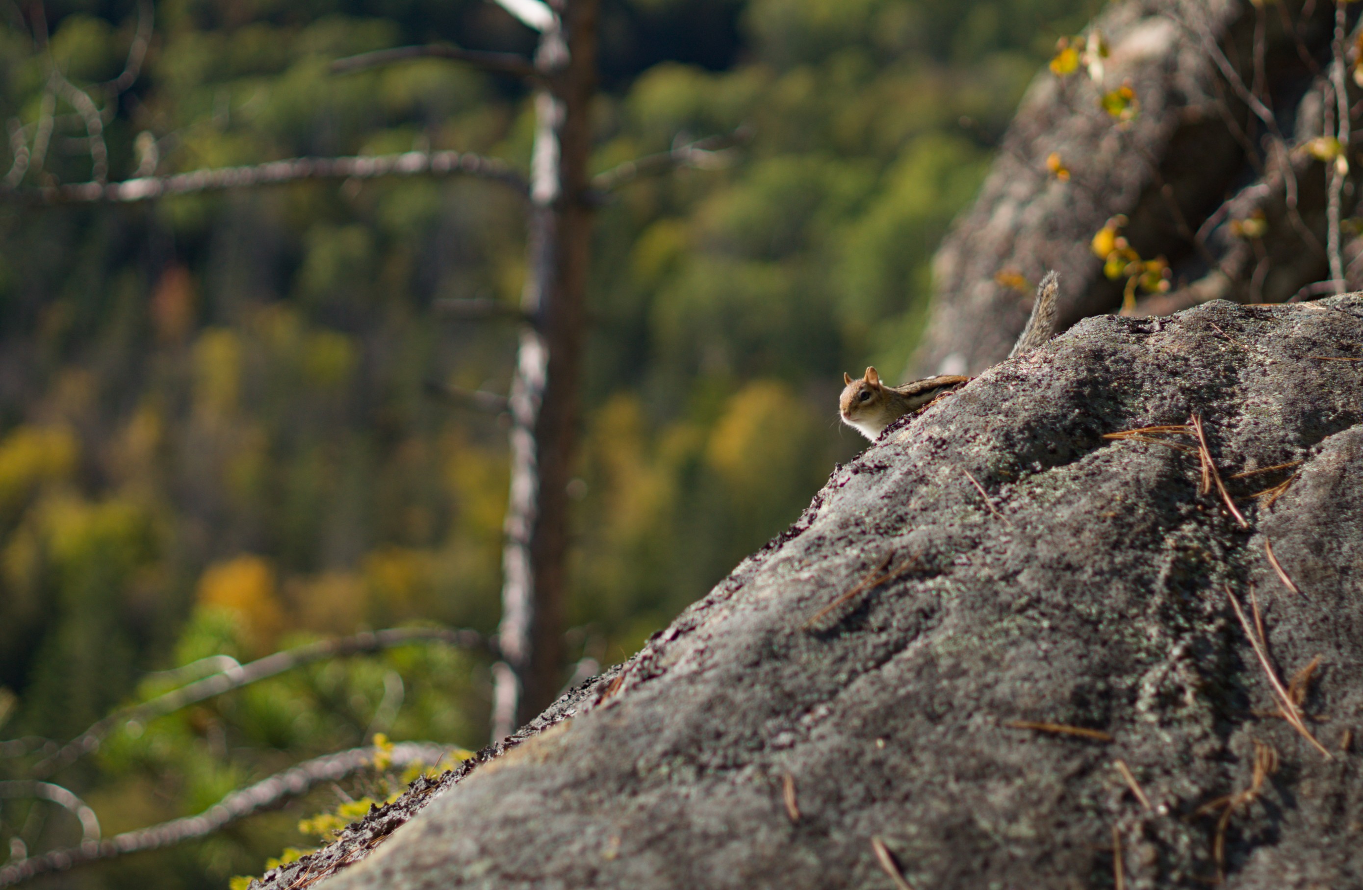 2024-hike-0020.jpg
