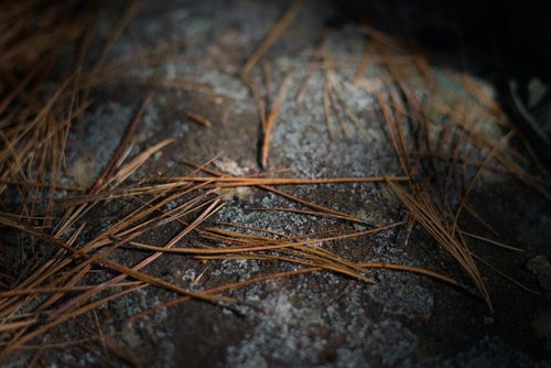 2024-hike-0011.jpg