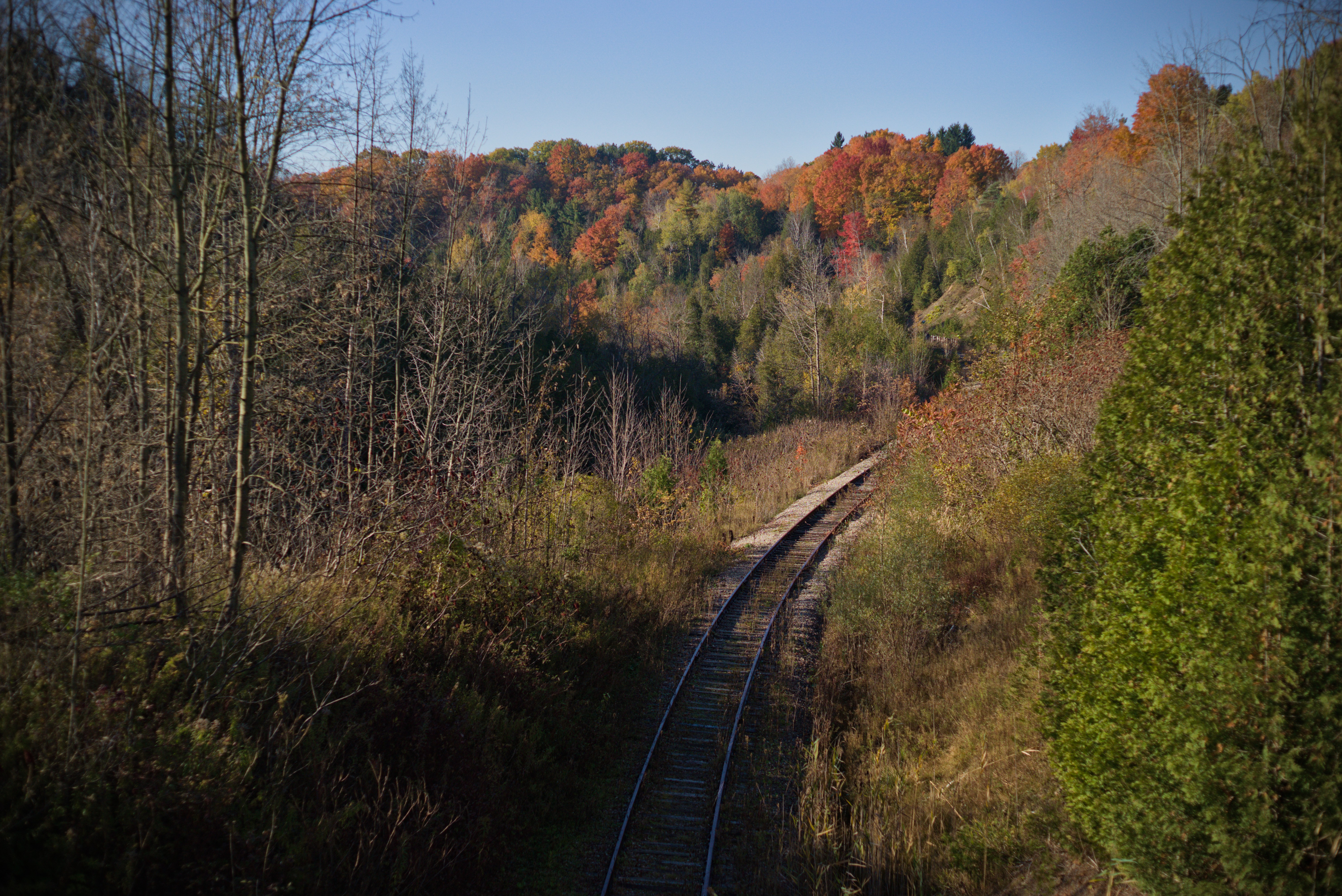 2024-hike-0028.jpg