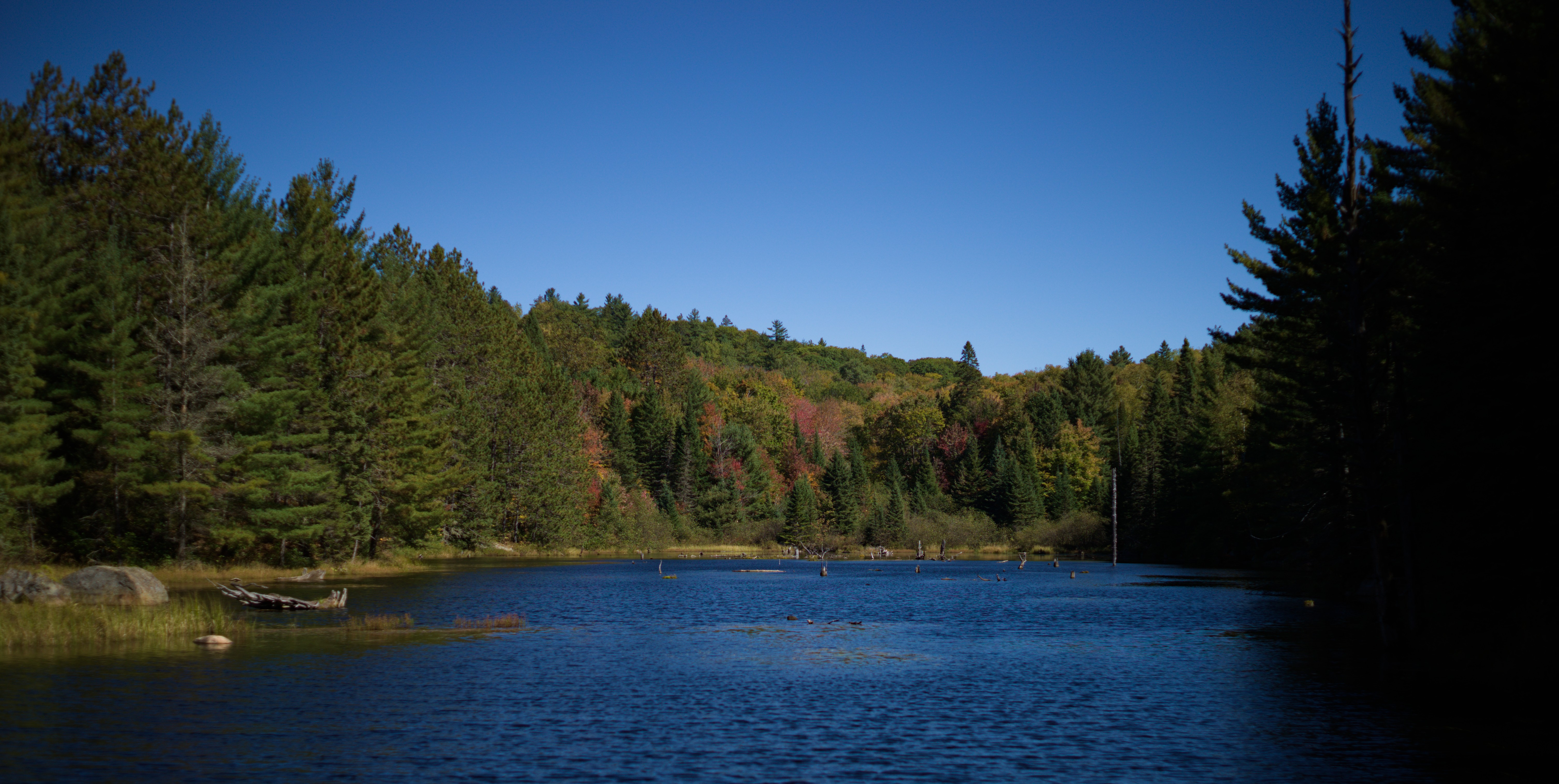 2024-hike-0001.jpg