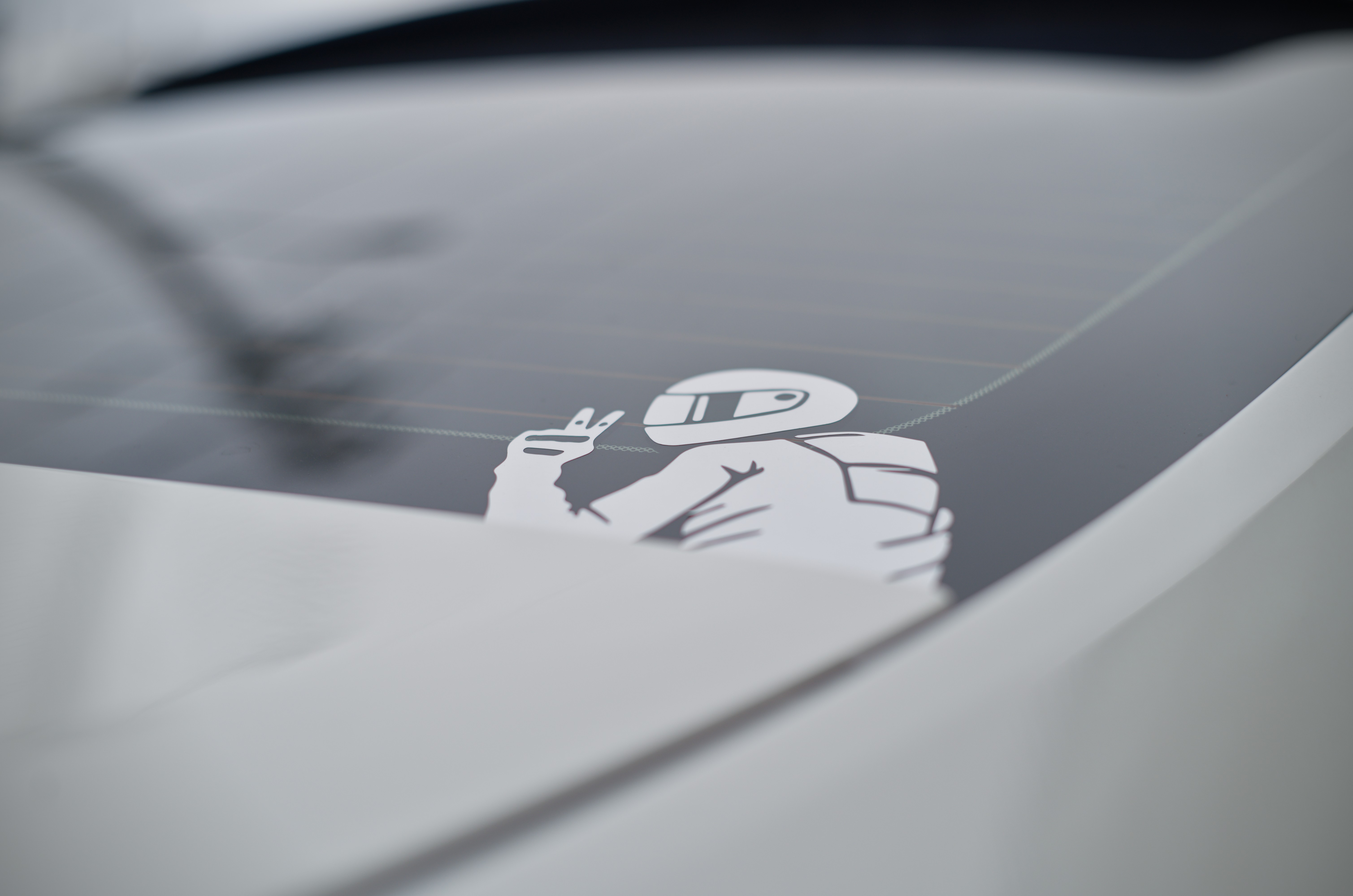 2025-panda-frs-0003.jpg