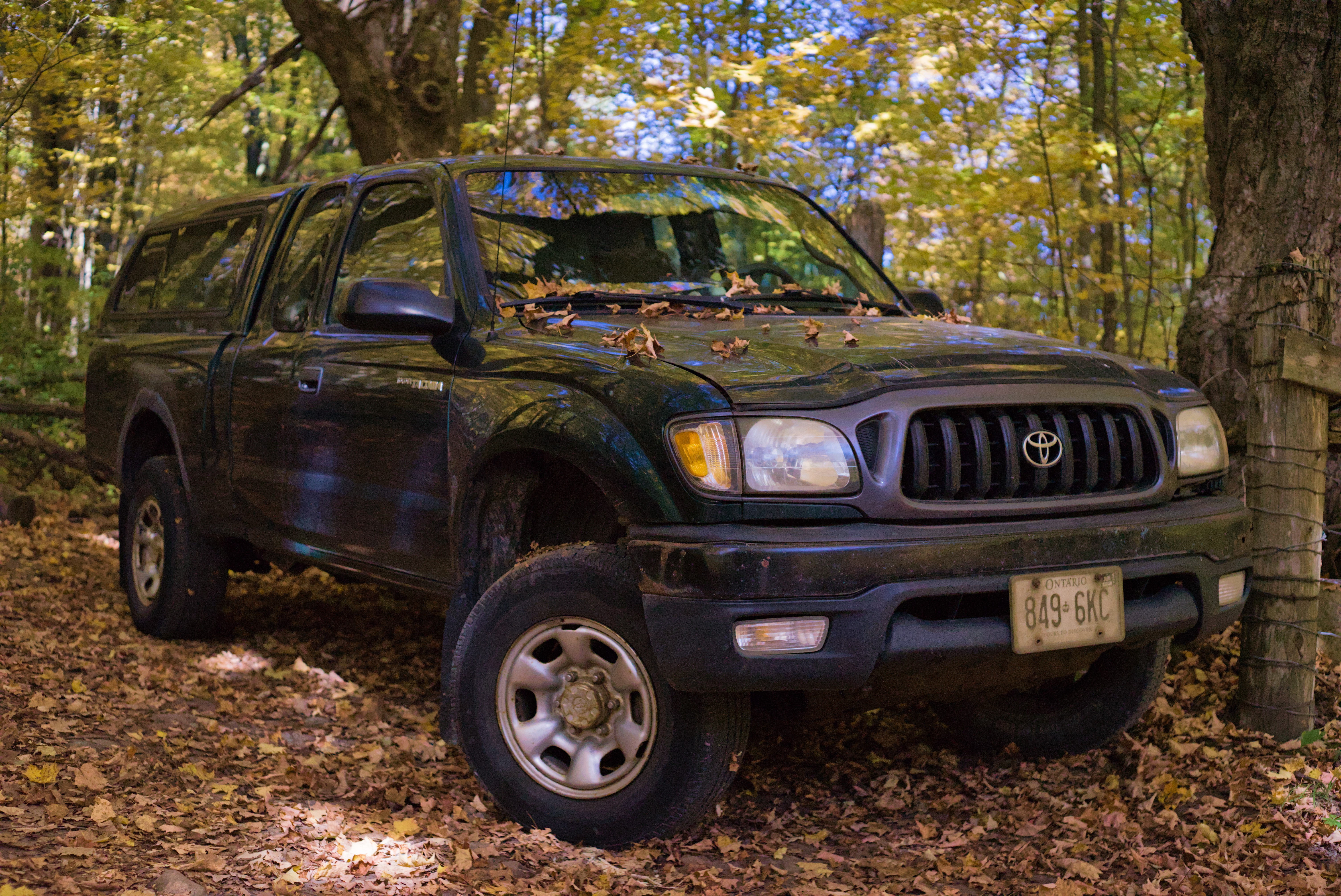 2024-tacoma-0001.jpg