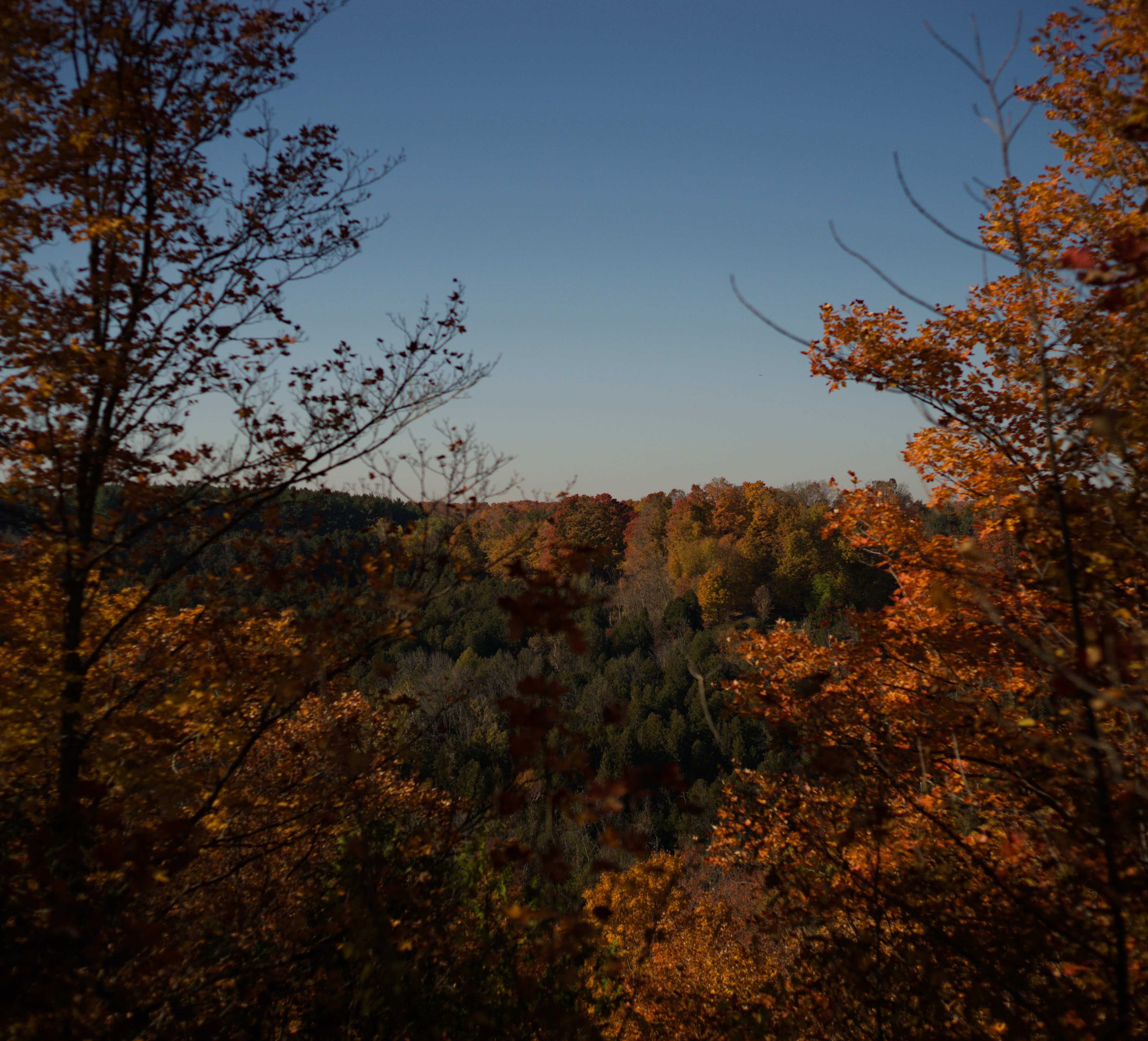 2024-hike-0033.jpg